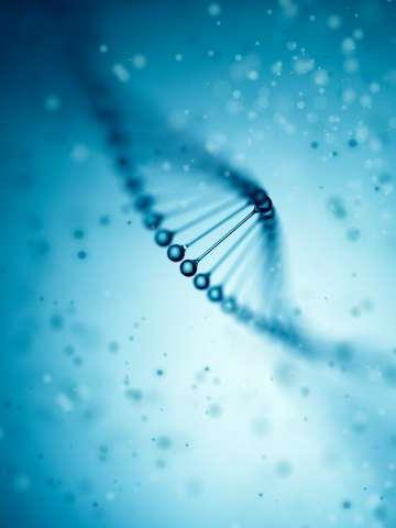 DNA的图像，遗传学